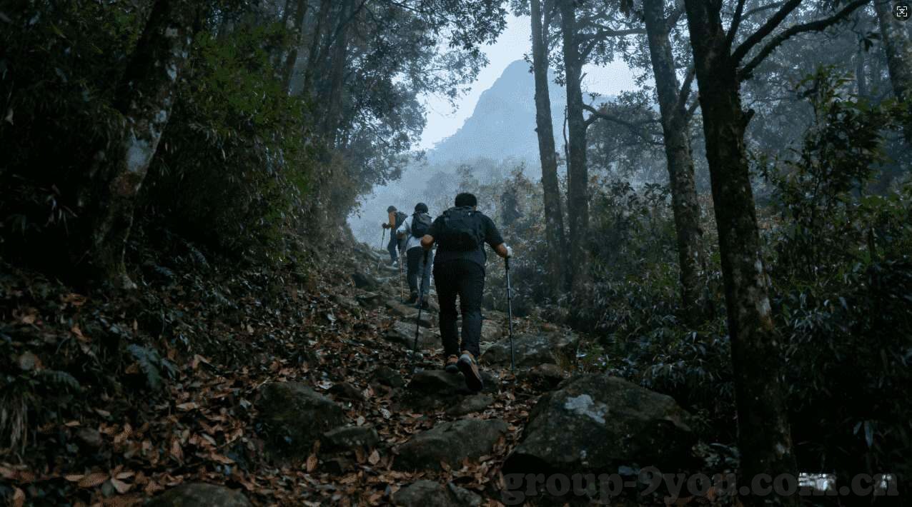 世界杯女足23人大名单-世界杯女足23人大名单，精英汇聚，逐梦绿茵